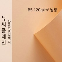 뉴씨플레인 종이문화 얇은 양면색지 120g B5 낱장 1매 No.21 살구색, 1장