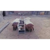 염소먹이통 염소 먹이통 사료통 여물통 농장 목장축사, 2미터 양 여물통