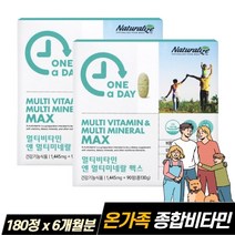 아이오딘 멀티 종합 비타민 앤 미네랄, 130g, 2개