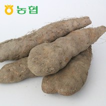 북안동농협 국산 안동 산마(특) 3kg/5kg, 산마 (특)5kg