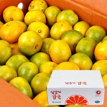 [한아름드린] [농협공판장] 제주 칠십리 노지감귤 5kg(L-2L/37-46과내), 상세 설명 참조