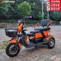 알엠티 KC인증 삼륜 중형 전동스쿠터 당일배송 할인행사 깜짝할인 충전기 미포함 배터리 미포함, 커피색, 30~40KM, 3A