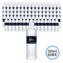 화인바이오 지리산물하나 500ml 80페트