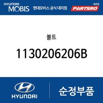 볼트 (1130206206B) 싼타페 베라크루즈 쏠라티 쏠라티 특장 제네시스 블루온 아이오닉5 전기차