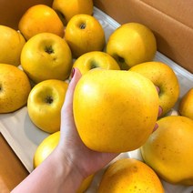 냥냥이네 시나노골드 가정용 꼬마과 25-28과 5kg 홍로사과 부사 청송사과 아리수사과 꿀사과 홍옥사과 못, 1, 본상품선택