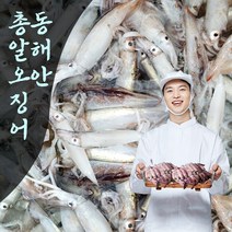 삼시세끼연구소 쫀득싱싱 동해안 총알 오징어 선동 초코오징어 급냉 총알 생오징어 통오징어 국산 국내산 1kg, 최상급 급냉 한입오징어 1kg