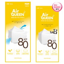 에어퀸 KF80 황사 마스크 대형 소형 100매+가그린 10ml 2포 증정 ~16시 주문까지 오늘 출고, 에어퀸 KF-AD 비말 대형 100매(50팩)