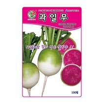 제일 과일무 씨앗 100립
