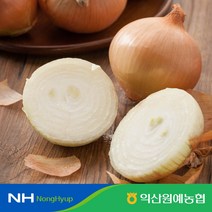 [익산원예농협] 탑마루 햇양파 5kg (중-대사이즈)