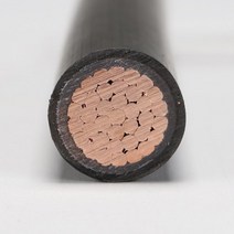 일신전기조명 삼사전선 TFR-CV 16SQ x 1C 1M, 1개