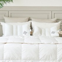 [AK백화점][소프라움] 윙필로우 기능성 구스베개(+항균) 1+1, 단일옵션