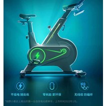 YESOUUL Wild Beast 자가발전 전기 자전거 실내사이클, B