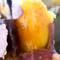 2020년 햇고구마 꿀밤고구마 특품 3kg 5kg, 1box, 상중사이즈10kg