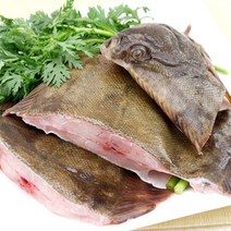 청정태안 자연산 봄도다리 1kg, 1kg(냉동)