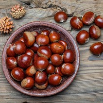 [부스터랩] 공주 정안 알밤 4kg(특대), 단품