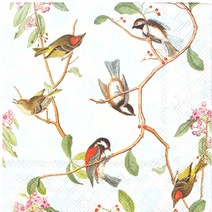 Ambient 9945 독일냅킨, 5660, 1팩