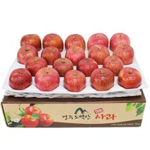 청정 영주소백산 정품/선물용정품꿀부사 5kg 8kg 10kg, 특대과