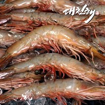 [새우대가리튀김] 대천해 자연산 대하 1kg(23~29미 내외)