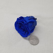 [플라라] 드라이플라워 프리저브드플라워 장미(빅사이즈), 04. 파랑 (프리저브드)