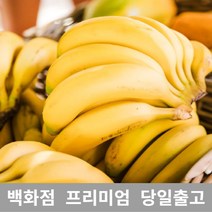 [특등급선별] 바나나 2.5kg 바나나 변비주스 바나나도매 바나나가격 수입바나나 바나나다이어트 바나나과일