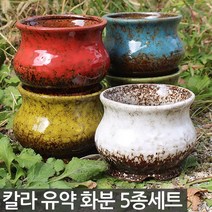 낮은 중형 다육 화분 5종세트 - 화분세트 다육화분 다육이 식물 분갈이 도자기 베란다 실내 사무실 인테리어 다육화분, 05_Sein_가마유약5종세트(E타입)