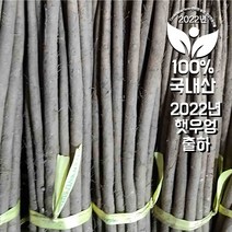 탐사 깨끗한 펄라이트, 30L