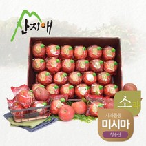 [산지애] 씻어나온 어린이 꿀사과 5kg 1box / 청송산 미시마 당도선별