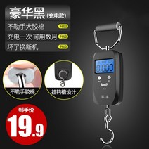 휴대용저울 미니저울 손저울 캐리어저울 무게 측정 디지털 수하물 여행 낚시 저울 포켓 전자, 13 럭셔리 블랙 10kg