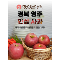 영주 인삼사과 중, 5kg