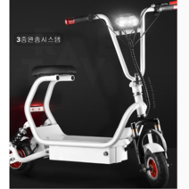 EllipRun 전기스쿠터 전동스쿠터 전동, 화이트