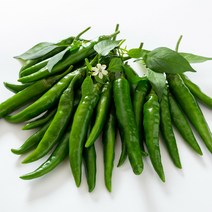맛있게 매운 청양고추 1kg 3kg 5kg 10kg, 1박스, 청양(특) 1kg