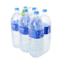 대구백화점 생수 숲속의맑은 샘물 2L X 12병(null), 12병