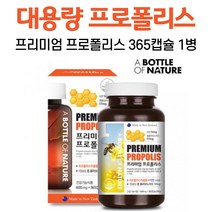 뉴질랜드 프로폴리스 캡슐 플로폴리스 프러폴리스 하루 1캡슐 추출물 아연 섭취 식약처 권장 섭취량 100% 총 플라보노이드 17mg 함유, 1병, 365캡슐
