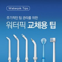 워터픽 구강세정기 전용팁 노즐팁, 플라그팁(호환가능/70K제외)