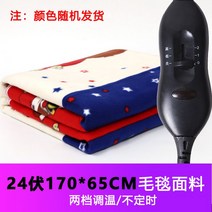 트럭 차박전기매트 12v매트 캠핑전기장판 온열매트, 24V 길이 170cm/폭 65cm, 24V 길이 170cm/폭 65cm