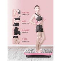 덜덜이기계 전신 운동 쉐이크보드 진동 다이어트 코어, E