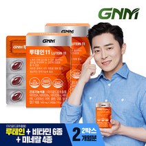 GNM 루테인11 2박스 비타민 6종 + 미네랄 4종 눈건강 비타민B 아연 엽산, 단일속성, 선택완료