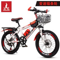 풀샥전기자전거 MTB 자토바이 팻바이크 전동서스펜션 피닉스 자전거 가변 속도, 22인치, G