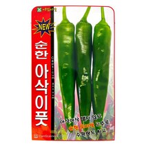 순한아삭이풋고추씨앗 50알 고추씨앗 풋고추씨앗