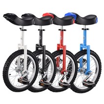 입문용 초보용 외발자전거 모기 공연 코어운동 기구, 파란색 - 24인치