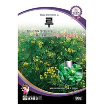 세계 루씨앗, 타라곤