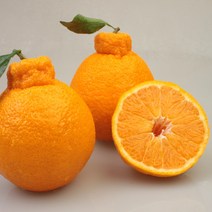 [넉넉한 과일] 제주 돌담농장 한라봉 소과 중과 대과 (1kg / 2.5kg /4.5kg), 1kg