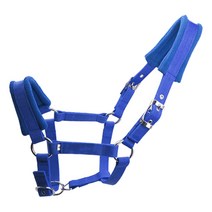 Royalways 연약한 덧대 진 조랑말 말 고삐 굴레 Headstall 머리 고리 말 승차 안정, 블루 M