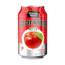 미닛메이드 스파클링 사과 345ml캔 X 24입