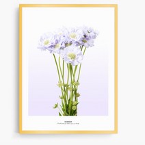 파스텔톤 솔체꽃 액자(73x53) 인테리어벽장식 두꺼비집가리개 사무실 그림사이트, 캔버스액자 (옆면검정)