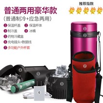 인슐린 보냉 가방 보냉팩 약냉장고 케이스 보관 보냉백 파우치 냉장고, 일반 디럭스 버전 -사진 참조