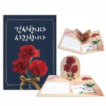만들기대장 입체카네이션카드 3