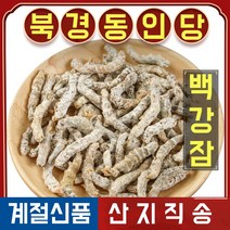 북경 동인당 야생 백강잠 한방차 한방재료 100g, 2봉