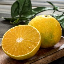 제주 황금향 귤 서귀포 효돈 프리미엄 고당도, 제주도 황금향, 가정용 2kg (대과)