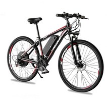 FRIKE 29인치 변속 전기자전거 48V 1000W PAS 스로틀 겸용 리튬전지 MTB자전거 88E6, 블랙+그레이